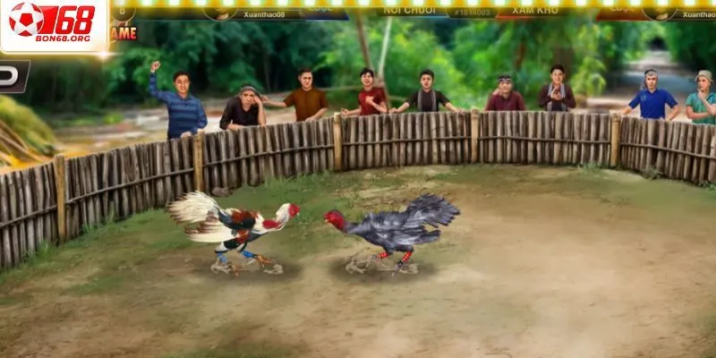 Đánh giá các ưu điểm thu hút của sảnh đá gà Digmaan tại Bon68